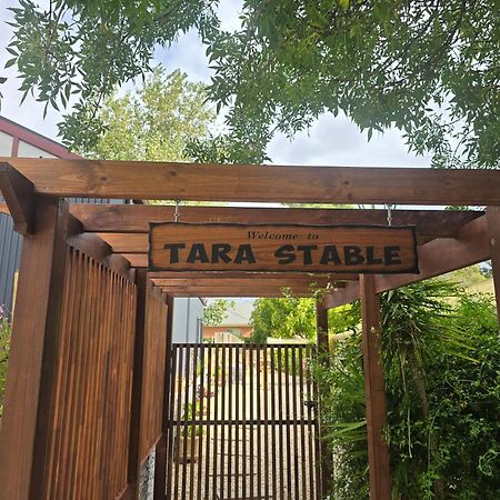 Tara Stables Villa Littlehampton Exteriör bild